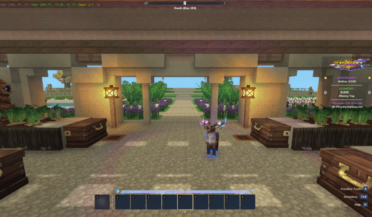 Skyblock pets and robots